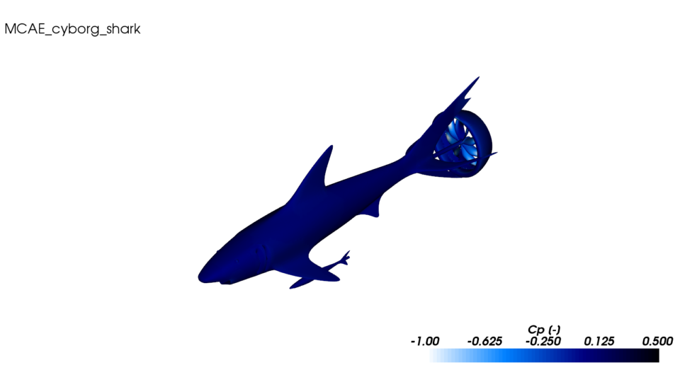 Blue-Black color map cfd simulation shark