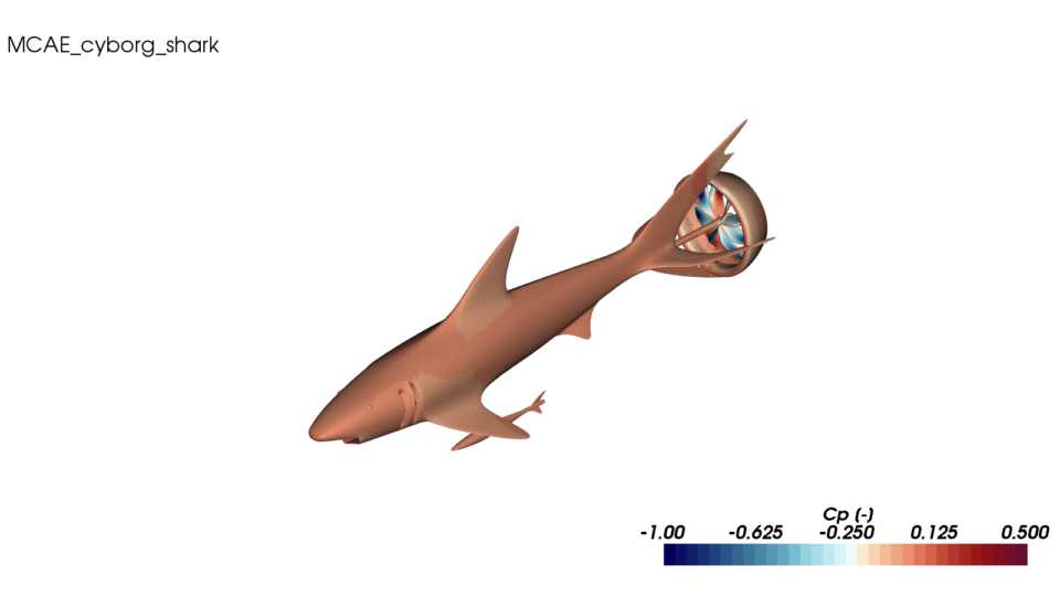 Warm-cool color map cfd simulation shark